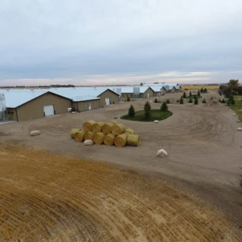 Zaks Building Group Structures