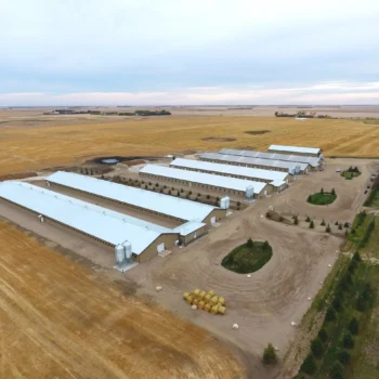 Zaks Building Group Structures