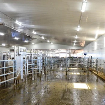 inside foth ventures