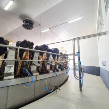 inside foth ventures