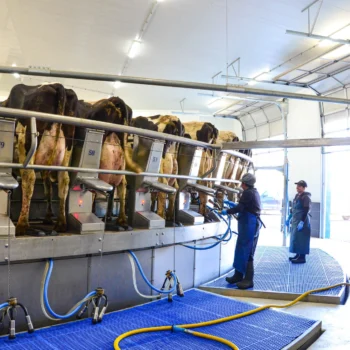 inside foth ventures