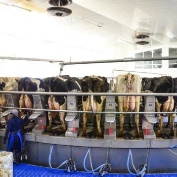 inside foth ventures