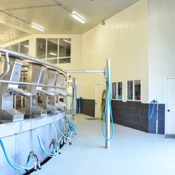 inside foth ventures