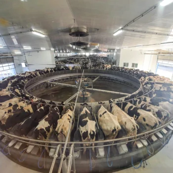 inside foth ventures