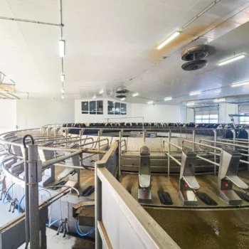 inside foth ventures