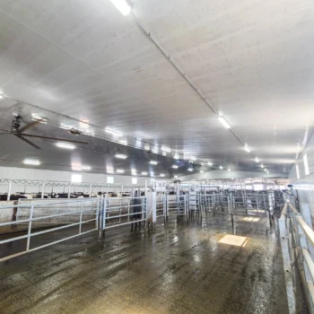 inside foth ventures