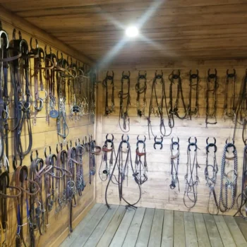 horse barn equipment